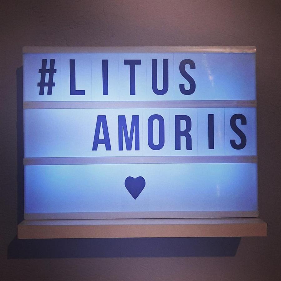 Litus Amoris Sidárion المظهر الخارجي الصورة